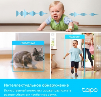     TP-Link Tapo C225