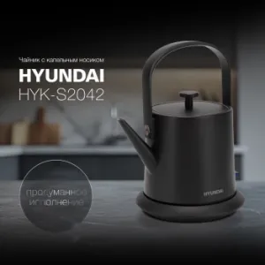   Hyundai HYK-S2042 0.6. 1000  : 