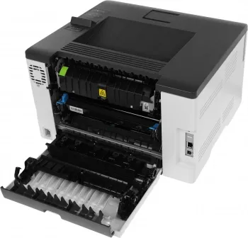  Pantum CP1100DN Color Laser, (A4, 18 ppm (max 30000 p/mon), 1 GHz, 1200x600 dpi, 1 GB RAM, D