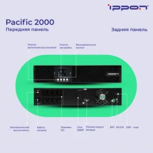    Ippon Pacific 2000 1800 2000 