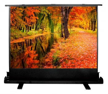  Cactus 150x200 FloorExpert CS-PSFLE-200X150 4:3  