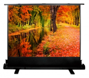  Cactus 150x200 FloorExpert CS-PSFLE-200X150 4:3  