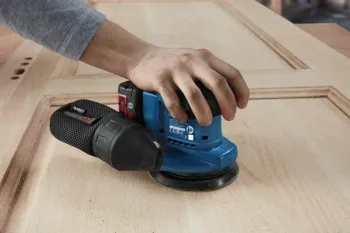   Bosch GEX 185-Li     D125 . (06013A5020)