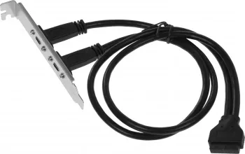  USB 2xUSB3.1 Type-C Bulk