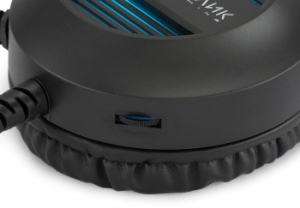     HS-L300G Black  2.2  USB  (1796949)