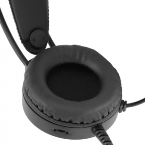     HS-L300G Black  2.2  USB  (1796949)