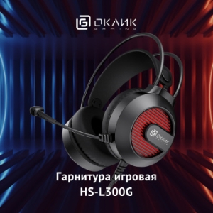     HS-L300G Black  2.2  USB  (1796949)