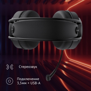     HS-L300G Black  2.2  USB  (1796949)