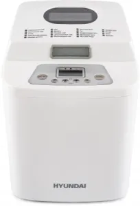  Hyundai HYBM-1088 500 