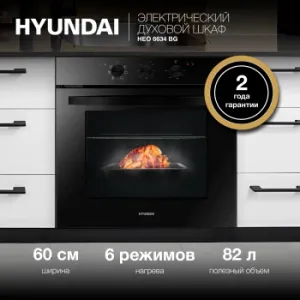    Hyundai HEO 6634 BG  