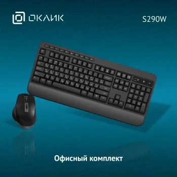  +   S290W : : USB  Multimedia (351701)
