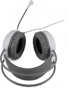     HS-L300G White  2.2  USB  (1796952)