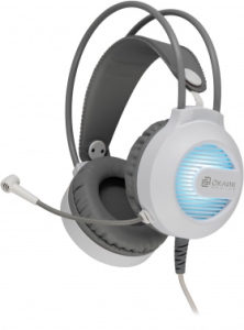     HS-L300G White  2.2  USB  (1796952)