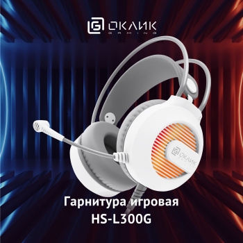     HS-L300G White  2.2  USB  (1796952)