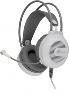     HS-L300G White  2.2  USB  (1796952)