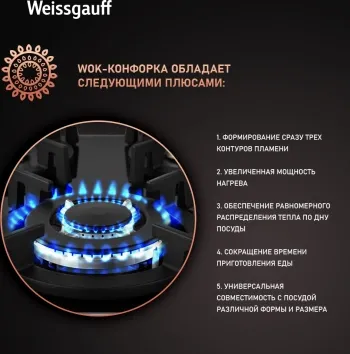    WEISSGAUFF HGG 451 BGV