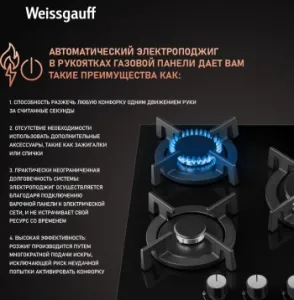    WEISSGAUFF HGG 451 BGV