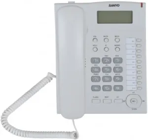   SANYO RA-S517W