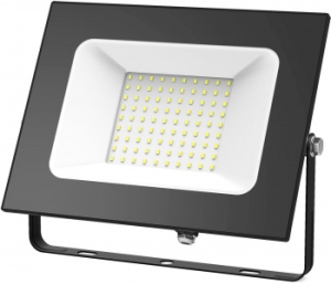   LED 100 IP65 6500 . Gauss 613100100