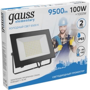   LED 100 IP65 6500 . Gauss 613100100