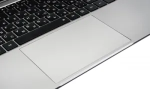  Osio FocusLine F150a-012 Ryzen 5 5500U 16Gb SSD1Tb AMD Radeon 15.6 IPS FHD (1920x1080) noOS