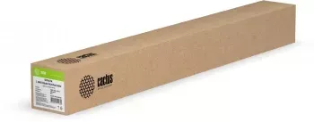     Cactus   42