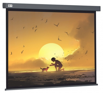  Cactus 124.5x221 Wallscreen CS-PSW-124X221-SG 16:9 -  
