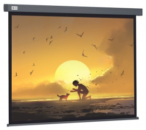  Cactus 124.5x221 Wallscreen CS-PSW-124X221-SG 16:9 -  