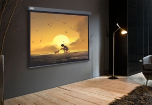  Cactus 124.5x221 Wallscreen CS-PSW-124X221-SG 16:9 -  