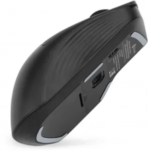   501MW   (2400dpi)  USB   (6but)