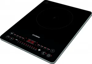   Hyundai HYC-0110 /   ()