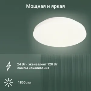   Digma TopLight TL25 .  (TL25)