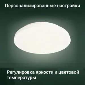   Digma TopLight TL25 .  (TL25)