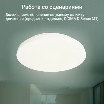   Digma TopLight TL25 .  (TL25)