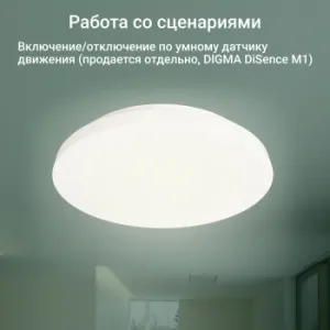   Digma TopLight TL25 .  (TL25)