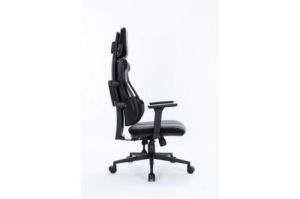  Cactus CS-CHR-DUO-GYBK /  . .   