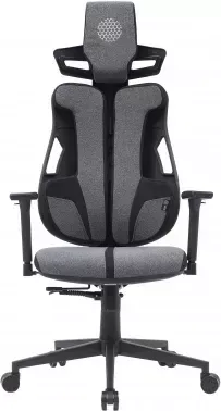  Cactus CS-CHR-DUO-GYBK /  . .   