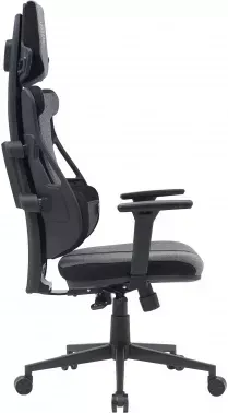  Cactus CS-CHR-DUO-GYBK /  . .   