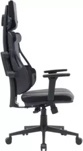  Cactus CS-CHR-DUO-GYBK /  . .   
