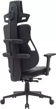  Cactus CS-CHR-DUO-GYBK /  . .   