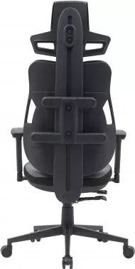  Cactus CS-CHR-DUO-GYBK /  . .   