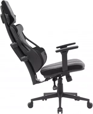  Cactus CS-CHR-DUO-GYBK /  . .   