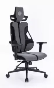  Cactus CS-CHR-DUO-GYBK /  . .   