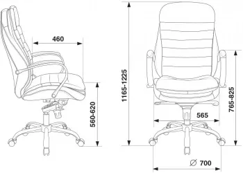    T-9950  Leather Ontano   