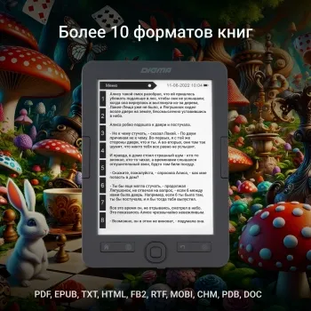   Digma X1 6 E-Ink 1024x758 Touch Screen 600MHz/4Gb/microSDHC/  
