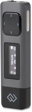   Digma DiVoice RV50 8Gb 