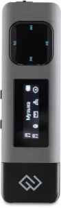   Digma DiVoice RV50 8Gb 