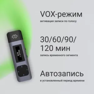   Digma DiVoice RV50 8Gb 