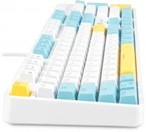   K951X   USB Multimedia LED (  ) (1901079)