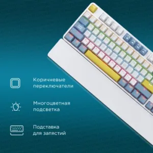   K951X   USB Multimedia LED (  ) (1901079)